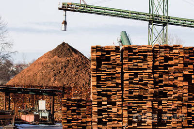 工廠建設與木材生產 產業現代化的關鍵環節